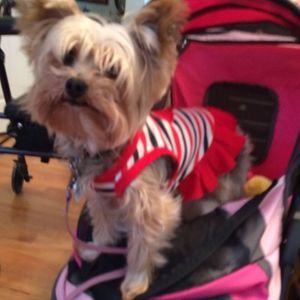 Meet your Posher, Ellen